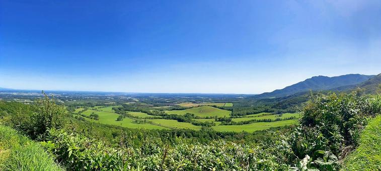 富良野の大地02 富良野の大地02 田園風景,富良野,上富良野の写真素材