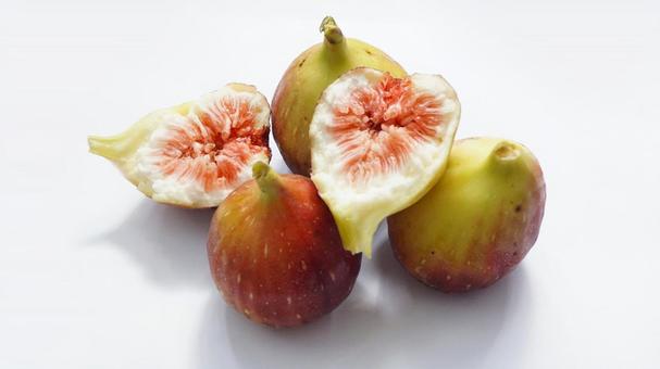 いちじく いちじく いちじく,果物,イチジクの写真素材