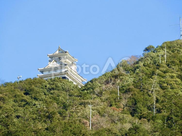 岐阜公園から見上げる金華山岐阜城 岐阜城,金華山,岐阜公園の写真素材