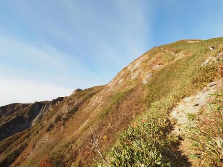 紅葉(雨飾山) 紅葉(雨飾山)の写真