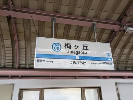 小田急電鉄梅ヶ丘駅標 小田急電鉄梅ヶ丘駅標の写真
