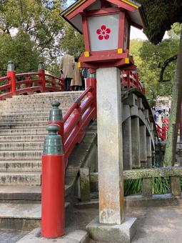 Photo, dazaifu tenmanguugu, interest, worship, 