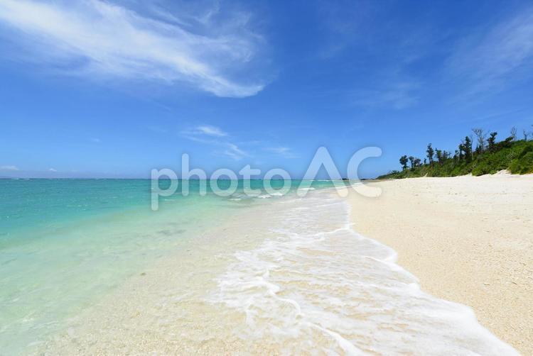 南国沖縄の美しいビーチ 沖縄,海,ビーチの写真素材