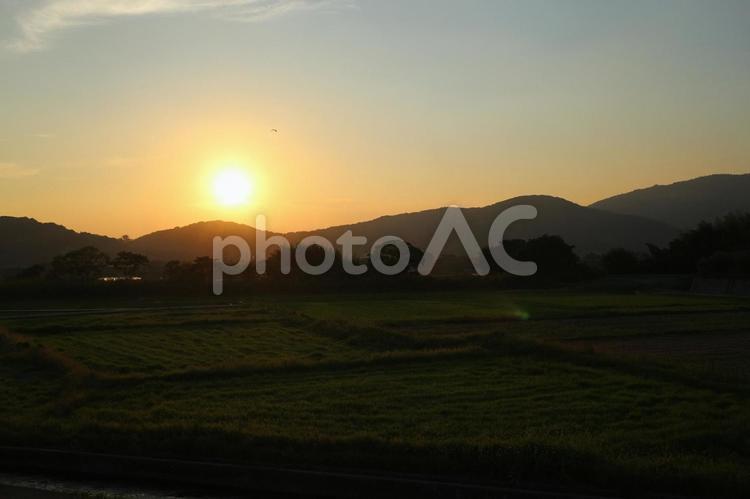 里山の夕暮れ 夕陽,日暮れ,山の写真素材