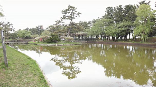 公園 池,公園,庭園の写真素材