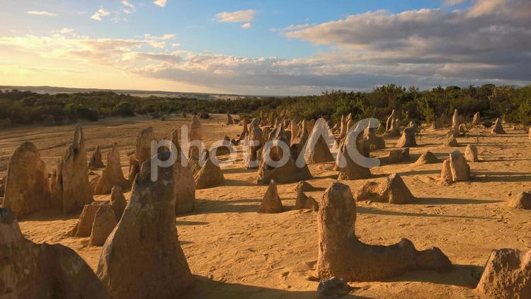 ピナクルズ（オーストラリア） ピナクルズ,オーストラリア,西オーストラリアの写真素材