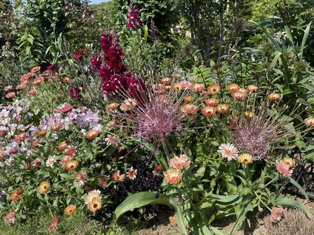 横浜山手の花壇 横浜山手の花壇の写真