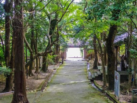 【山口県】下関市・功山寺 功山寺,長府,下関の写真素材