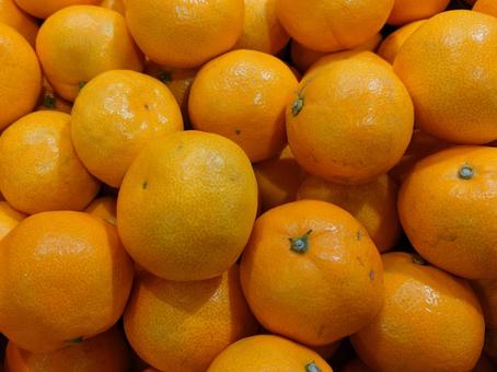 スーパーのミカン売り場　有田みかん　冬 有田みかん,ミカン,売り場の写真素材