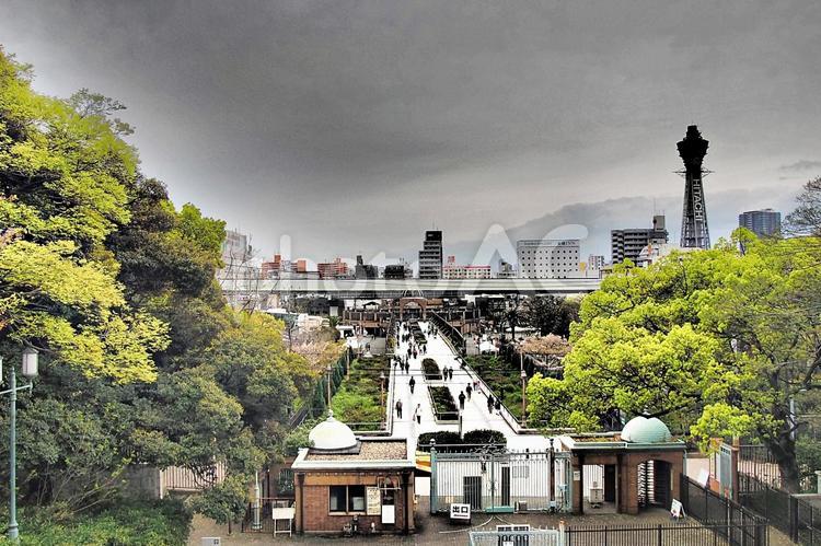 市立美術館前より望む浪速の街並み 浪速,なにわ,街並みの写真素材