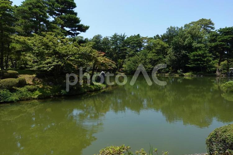 【石川】兼六園の風景 兼六園,庭園,緑の写真素材