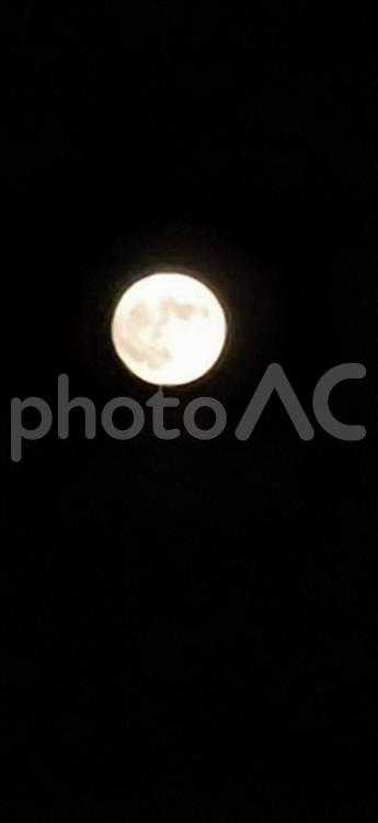 うさぎ囁く良い一夜 月,満月,月見の写真素材