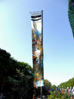鎌倉中央公園、園内に掲げられた武者のぼり 鎌倉中央公園、園内に掲げられた武者のぼり のぼり,旗,5月の写真素材