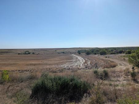 収穫後の畑 畑,空,旅の写真素材
