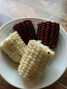 白と紫のとうもろこし 白と紫のとうもろこし 白,紫,とうもろこしの写真素材