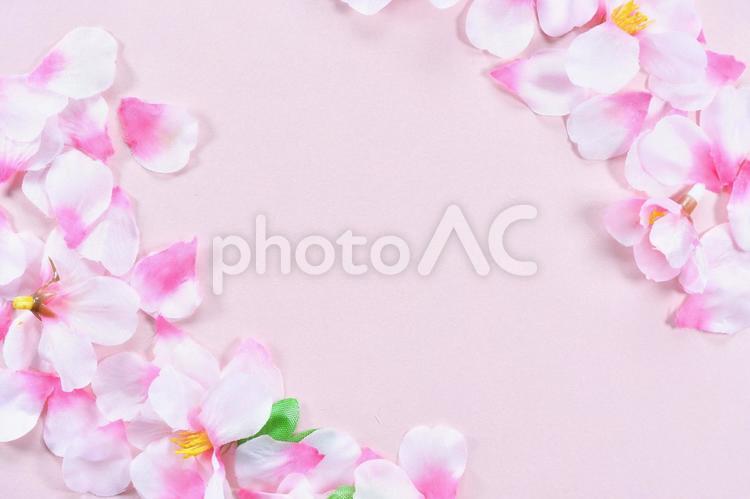 春のイメージの背景素材 桜,背景,背景画像の写真素材