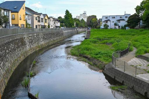 善福寺川 散策,風景,川の写真素材