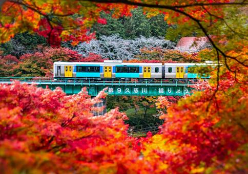 紅葉水郡線　第9久慈川橋梁 水郡線,紅葉,矢祭町の写真素材