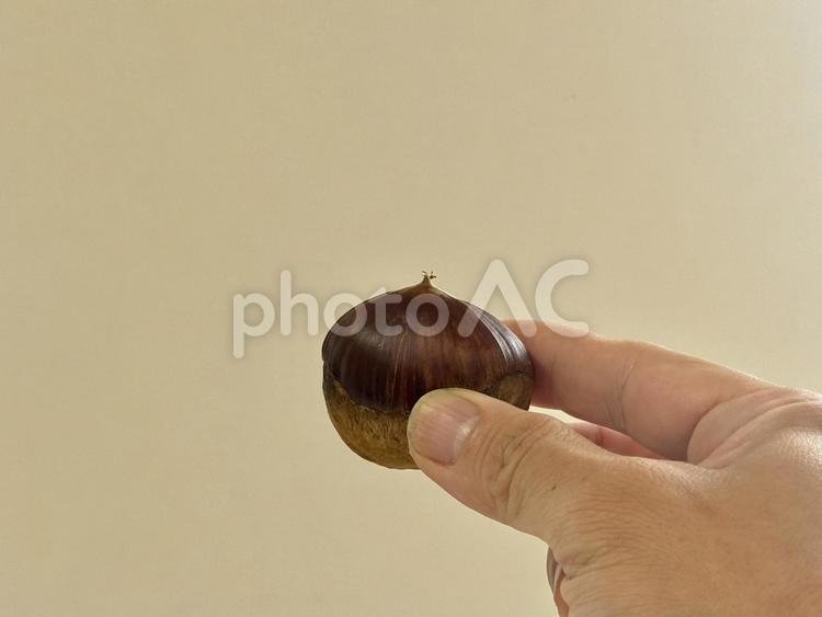 栗　秋の味覚のイメージ 秋の味覚,秋,食欲の秋の写真素材