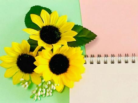 Photo, sonnenblume, der sommer, sommer, 