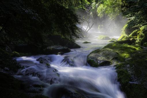 熊本-【菊池渓谷の光芒】 熊本-【菊池渓谷の光芒】 熊本,菊池渓谷,川の写真素材