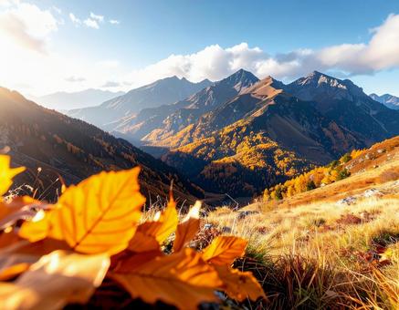 紅葉がきれいな秋の山 紅葉がきれいな秋の山の写真