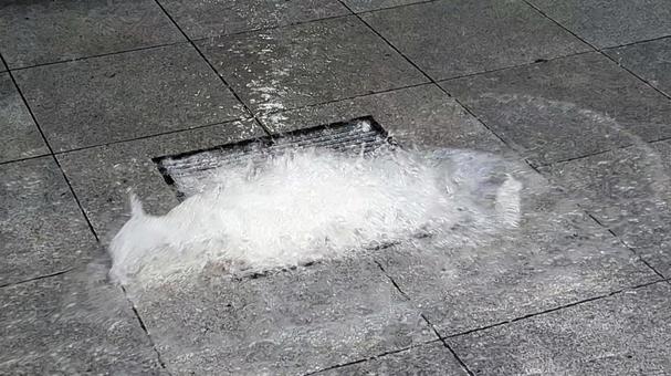 水が逆流して溢れ出ている排水溝 グレーチング,側溝,排水溝の写真素材