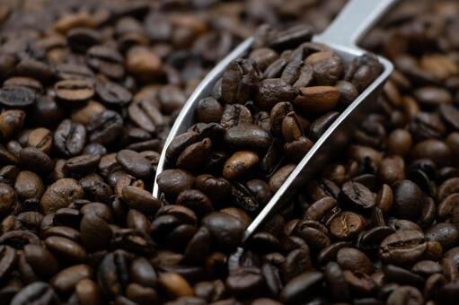 珈琲豆 珈琲豆,焙煎豆,コーヒーの写真素材