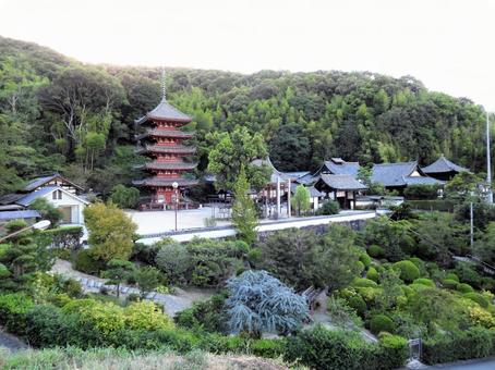中道山 円光寺 明王院　五重塔 福山市,円光寺,明王院の写真素材