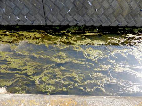 環境汚染が進む郊外の用水路 環境汚染が進む郊外の用水路 川,河川,小川の写真素材