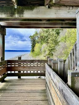海の見える風景 海の見える風景 海,ビーチ,風景の写真素材