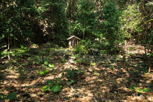 愛媛県愛南町 由良権現神社 愛媛県愛南町 由良権現神社 由良権現神社,由良山,神社の写真素材