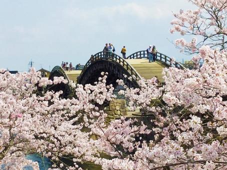 錦帯橋 錦帯橋の写真