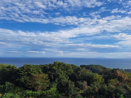 湘南平から湘南の海の写真