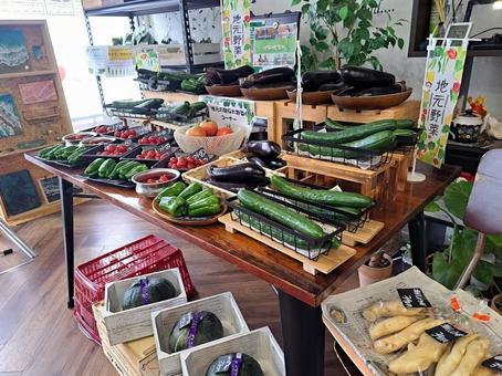 野菜販売中 野菜販売中の写真