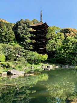 瑠璃光寺五重塔3 瑠璃光寺,五重塔,香山公園の写真素材