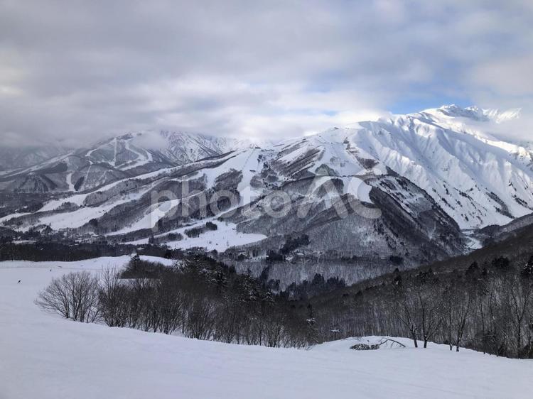 スキー場　ゲレンデ風景　白馬村 スキー場,ゲレンデ,風景の写真素材