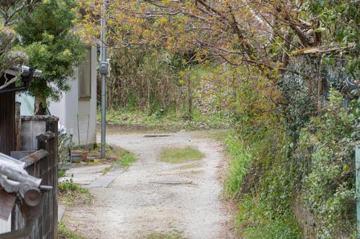 日本の里山の砂利道 道,砂利道,小道の写真素材