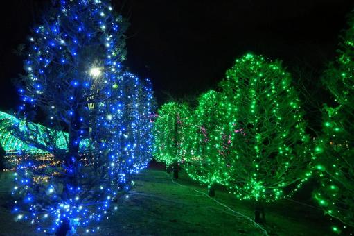 霞ヶ浦クリスマスイルミネーション・土浦市 冬,クリスマス,イルミネーションの写真素材