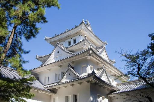 大垣城 大垣城 大垣城,天守閣,城の写真素材