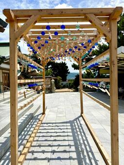 亀山八幡宮　風鈴祭り 唐戸,下関,亀山八幡宮の写真素材