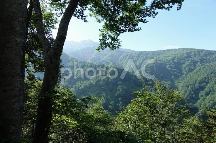 【大自然】登山・山登り・アウトドア【風景】 登山,山登り,自然の写真素材
