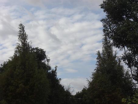 November Clouds-15, JPG