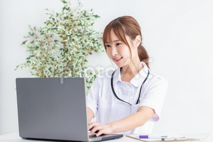 PC操作する看護師　Nurse  看護師,女性,女性看護師の写真素材