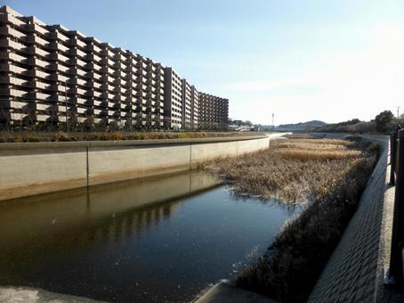 12月・横浜市栄区金井遊水池の風景 12月・横浜市栄区金井遊水池の風景 金井遊水池,栄区,横浜市の写真素材