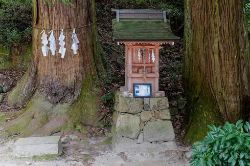 滋賀 日吉大社 走井祓殿社 滋賀 日吉大社 走井祓殿社 日吉大社,日枝社,日吉の写真素材