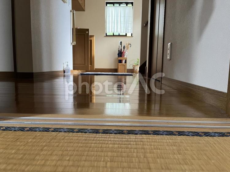 玄関 玄関,床,窓の写真素材