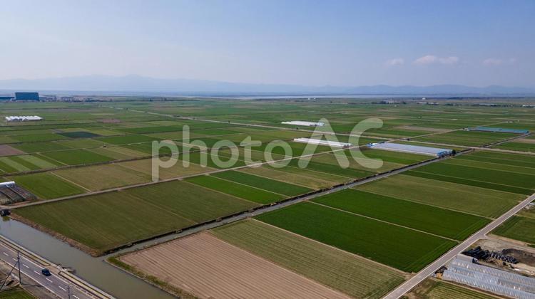 佐賀県佐賀市の風景　ドローン空撮 佐賀,佐賀県,空撮の写真素材