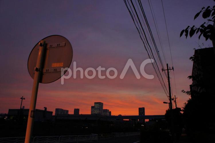 夕暮れの標識 標識,夕暮れ,電線の写真素材