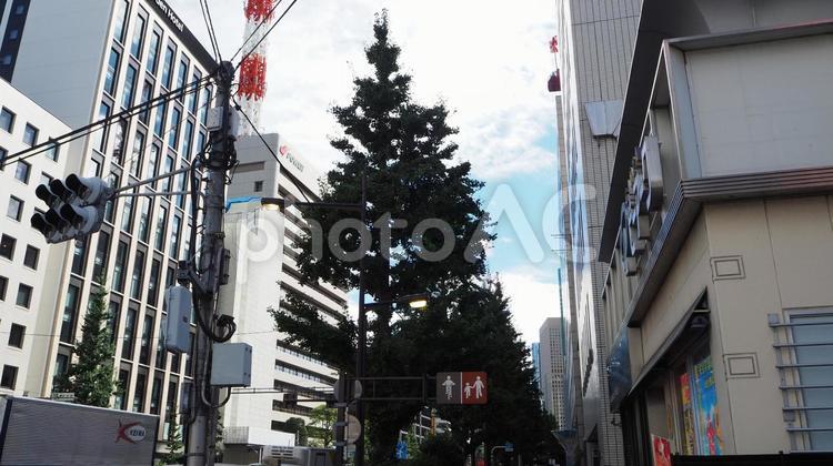 銀座のビル街の風景（東京都・中央区） 銀座,中央区,東京都の写真素材